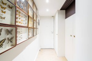 Peintre Décorateur Grenoble